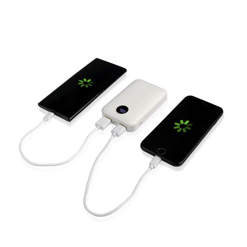 Power banka 10000 mAh Daniel