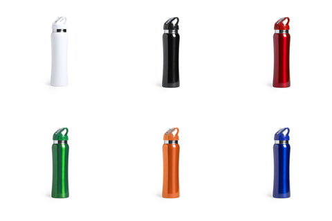 Nerūsējošā tērauda pudele 800 ml ar rokturi, 6 dažādas krāsas personalizējamas ar logo