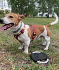 Frisbijs ar logo druku suņiem